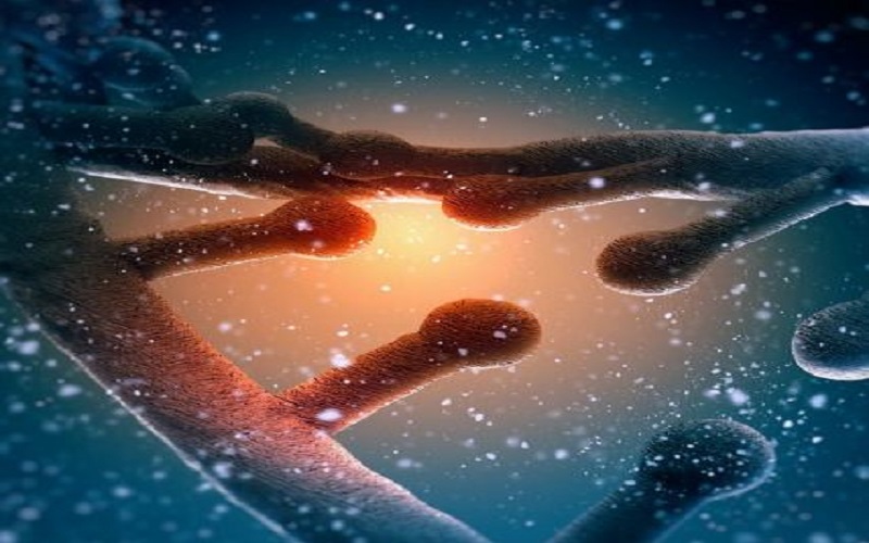 Las personas con sangre RH negativo tendrían ADN extraterrestre 6 Las personas con sangre RH negativo tendrían ADN extraterrestre