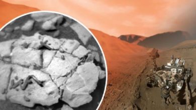 Vida en Marte El explorador de la NASA encuentra fósiles únicos en el planeta rojo