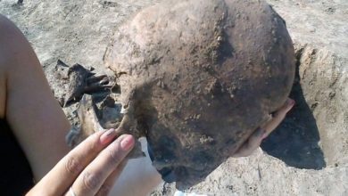 El misterioso cráneo alienígena desenterrado en Europa occidental