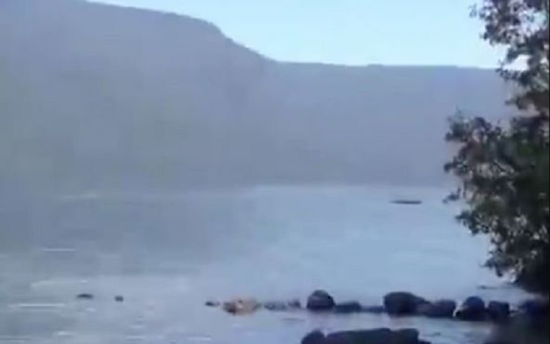 El monstruo del Lago Ness de Argentina