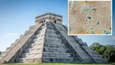 Avance arqueológico un secreto maya de 1.300 años de antigüedad