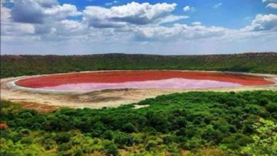 lago Lonar creado por la caída de un meteorito se torna curiosamente rosa