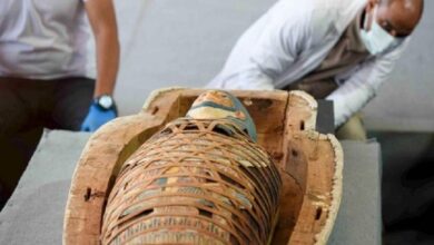 Encontraron en Saqqara más de 100 sarcófagos que datan de hace 2.500 años