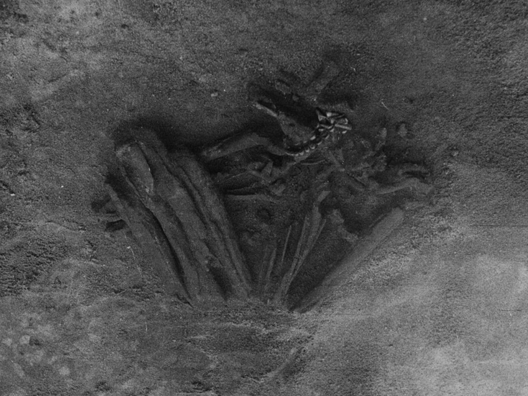 imagen en blanco y negro de restos óseos atados a una posición fetal en sedimentos en el sitio de excavación