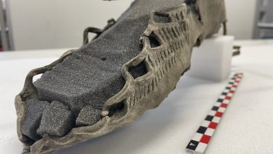 El derretimiento del hielo en Noruega revela una sandalia de 1700 años de antigüedad