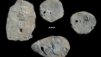 Lingotes de plomo importados ofrecen evidencia de redes comerciales complejas de la Edad del Bronce