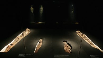 ¿Pueden las momias más antiguas del mundo sobrevivir al cambio climático y otras amenazas en las próximas décadas?