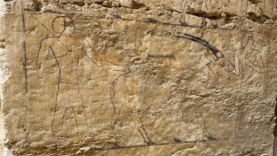 Arqueólogos en Egipto descubren tumba de hombre de 4.300 años de antigüedad que manejó los 'documentos secretos' de su faraón
