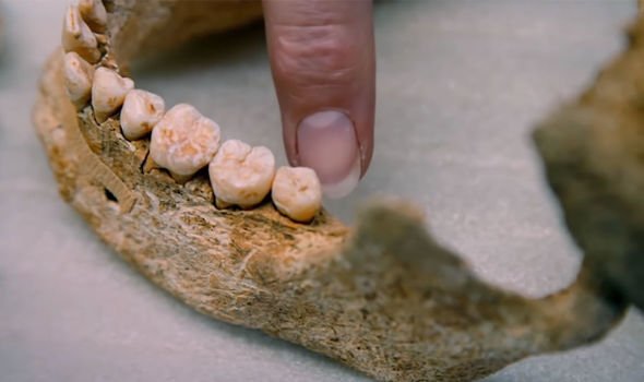 Firma biológica: la osteoarqueóloga Jackie McKinley analizó los huesos para encontrar sus orígenes