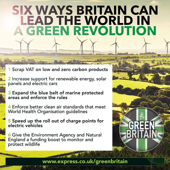 Los planes verdes del Reino Unido