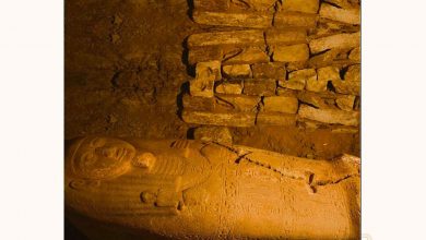 Sarcófago del tesorero jefe de Ramsés II descubierto en Saqqara