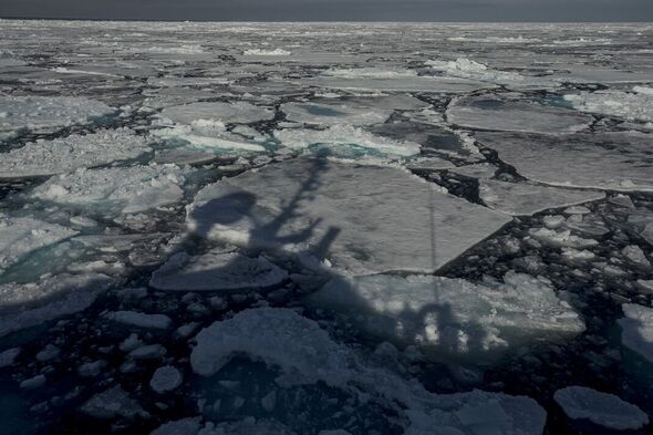 Hielo marino del Ártico