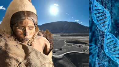 ¿Ha resuelto un nuevo estudio de ADN de 5.000 años de antigüedad el misterio de las momias de la cuenca del Tarim?