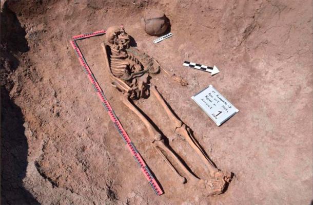 La tumba contenía un auriga siberiano junto con objetos funerarios, que incluían un cinturón de bronce, una daga y joyas.  (IAET SB RAS)