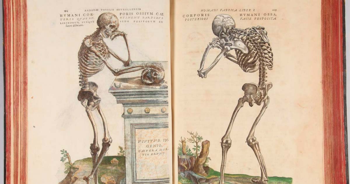 Image 111 of On the Fabric of the Human Body by Andreas Vesalius (Library of Congress)