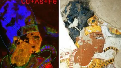 segredos em pinturas de antiga necrópole egípcia