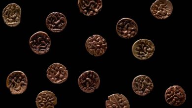The Iron Age treasure found in an Anglesey field was made up of a hoard of 15 gold coins. Source: Amgueddfa Cymru – Museum Wales