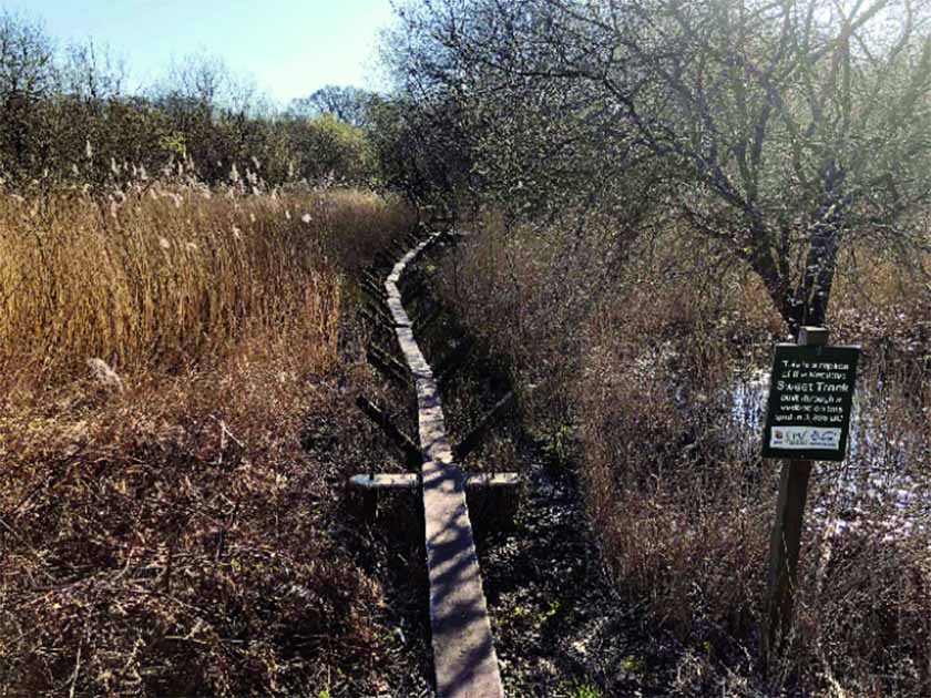 Sweet Track, un testamento de ingenio prehistórico de 6.000 años de antigüedad 7 The reconstructed Sweet Track is a walkway aged 5830 years, situated in England's Somerset Levels. Source: International Journal of Heritage Studies/CC BY 4.0