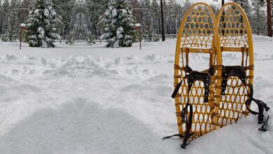 Traditional snowshoes. Source: debspoons / Adobe Stock.