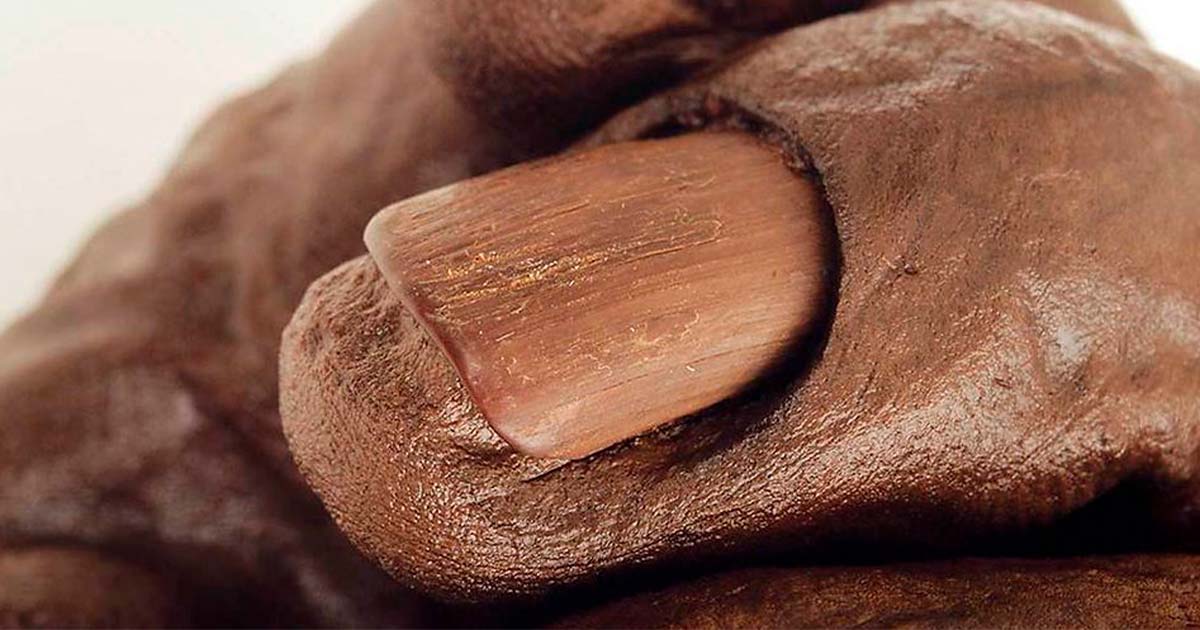 ¿Por qué este antiguo cadáver tiene manicura? (Video) 6 Close up of Old Croghan Man’s nails (National Museum of Ireland)