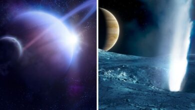Las lunas heladas de Júpiter y Saturno podrían ser la clave para la vida extraterrestre