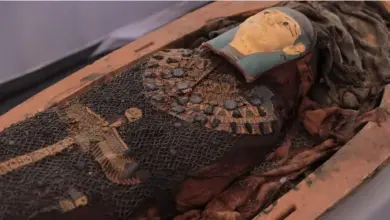 "Livro dos Mortos" descoberto em antigo cemitério egípcio