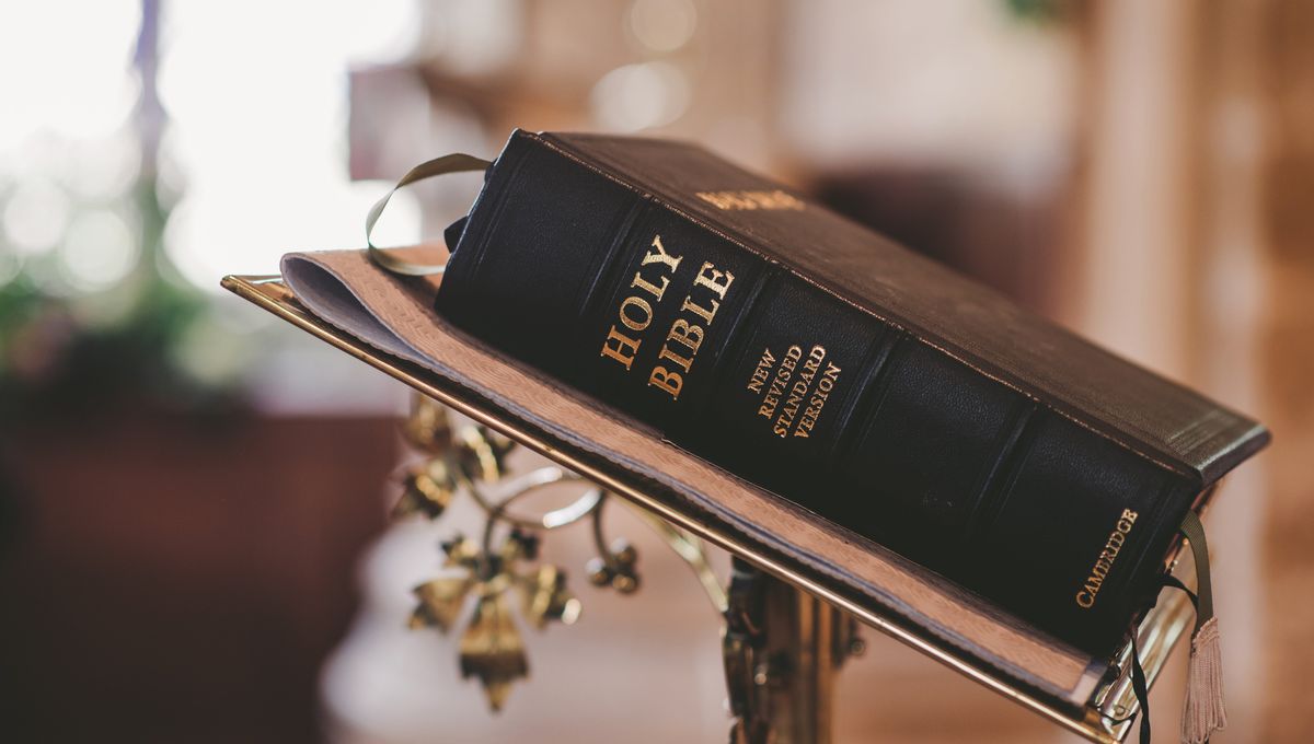 ¿Quién escribió la Biblia?