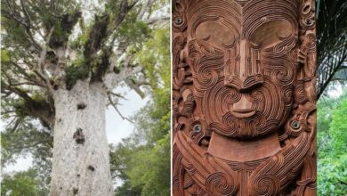 Tāne: Señor del bosque que trajo tres cestas de conocimientos a la gente en la mitología maorí