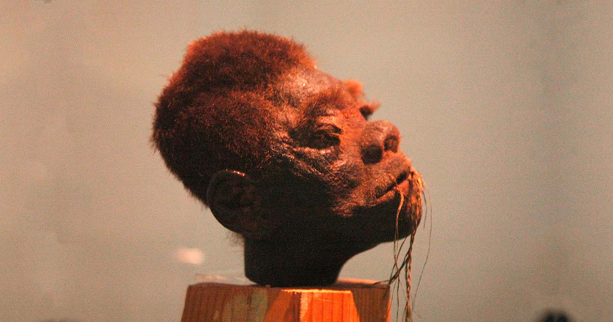 A shrunken head of Jivaro on display.  Source: Tylwyth Eldar / CC BY-SA 4.0