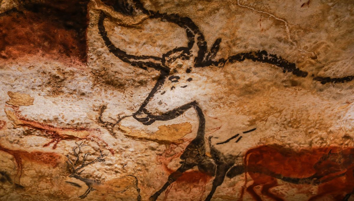 El primer descubrimiento de arte rupestre prehistórico con carbón en la Dordoña francesa podría ser revelador a la hora de datar otros hallazgos