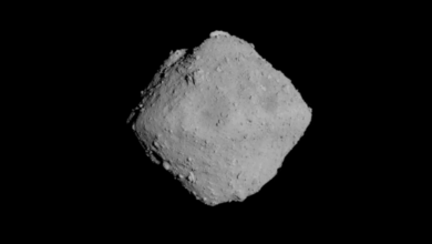 Las moléculas orgánicas de las muestras del asteroide Ryugu proceden del frío espacio interestelar