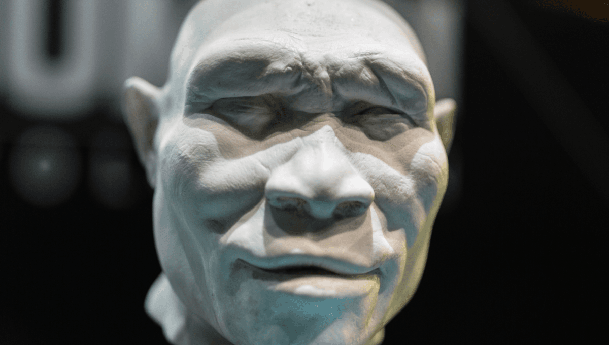 Una mandíbula de 2 millones de años muestra que el Homo Erectus migró a lo alto de las montañas 5 Una mandíbula de 2 millones de años muestra que el Homo Erectus migró a lo alto de las montañas