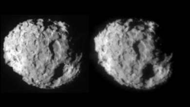 El polvo sorprendentemente variado del cometa Wild 2 revela la historia temprana de nuestro sistema solar