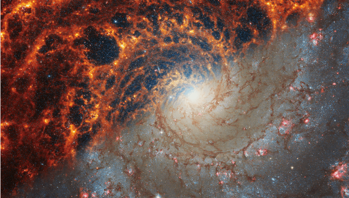 Galaxias espirales como nunca antes las habías visto en nuevas imágenes de JWST 5 Galaxias espirales como nunca antes las habías visto en nuevas imágenes de JWST