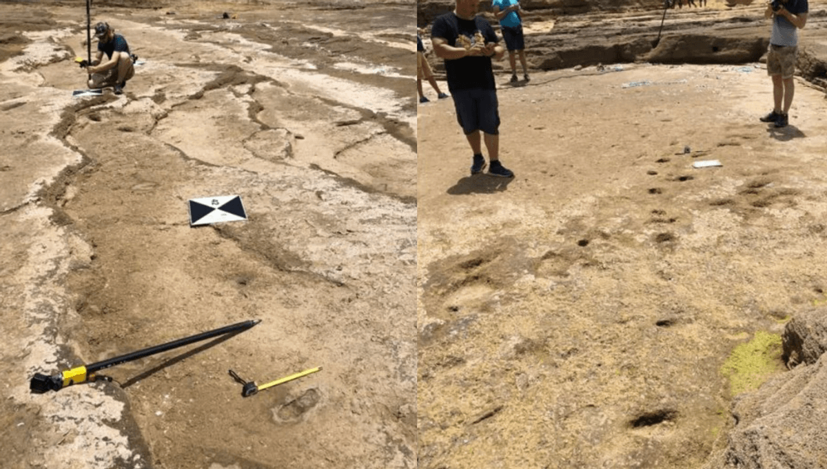 Huellas humanas de 90.000 años encontradas en Marruecos se encuentran entre las más antiguas del mundo 5 Huellas humanas de 90.000 años encontradas en Marruecos se encuentran entre las más antiguas del mundo