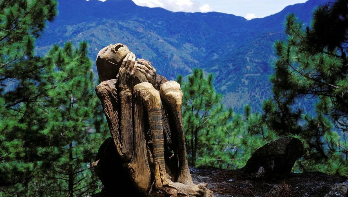 Las antiguas "momias de fuego" que residen en las cimas de las montañas de Filipinas corren el riesgo de ser destruidas