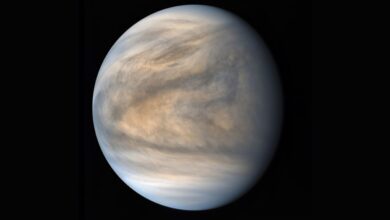 Los componentes básicos de la vida sobreviven en las nubes sulfúricas de Venus