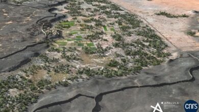 Arqueólogos descubren un muro de 4.000 años de antigüedad construido alrededor de un oasis en Arabia Saudita