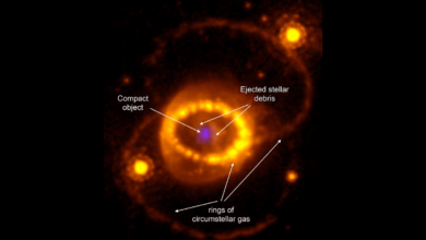 JWST encuentra una estrella de neutrones en el remanente de SN1987a, la última supernova visible a simple vista