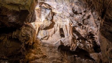 Los secretos de la cueva de Gough: canibalismo y rituales antiguos de hace 14.700 años