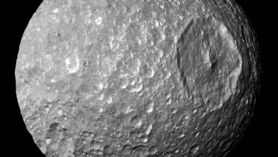 Mimos |  La luna de Saturno tendría un océano joven e inesperado debajo de la superficie