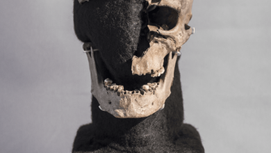 Nuevos detalles sobre la vida y muerte del hombre de Vittrup descubiertos después de 5.000 años