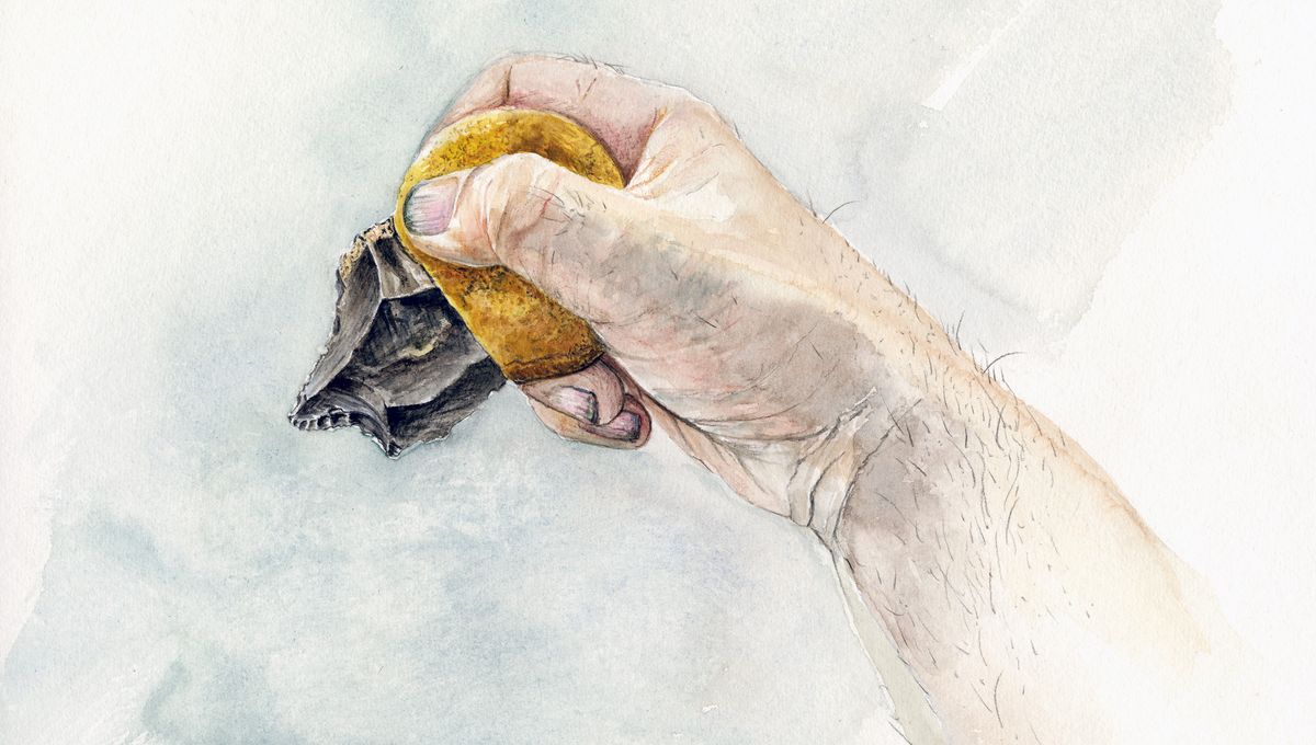 Un pegamento multicompuesto de 40.000 años sugiere que los neandertales eran más inteligentes de lo que pensábamos 5 Un pegamento multicompuesto de 40.000 años sugiere que los neandertales eran más inteligentes de lo que pensábamos