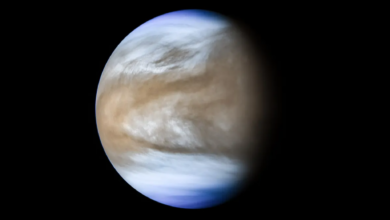 Zoozvé |  El asteroide "casi luna" de Venus recibe nombre oficial por accidente