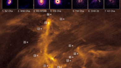 Fotos muestran planetas naciendo alrededor de estrellas jóvenes