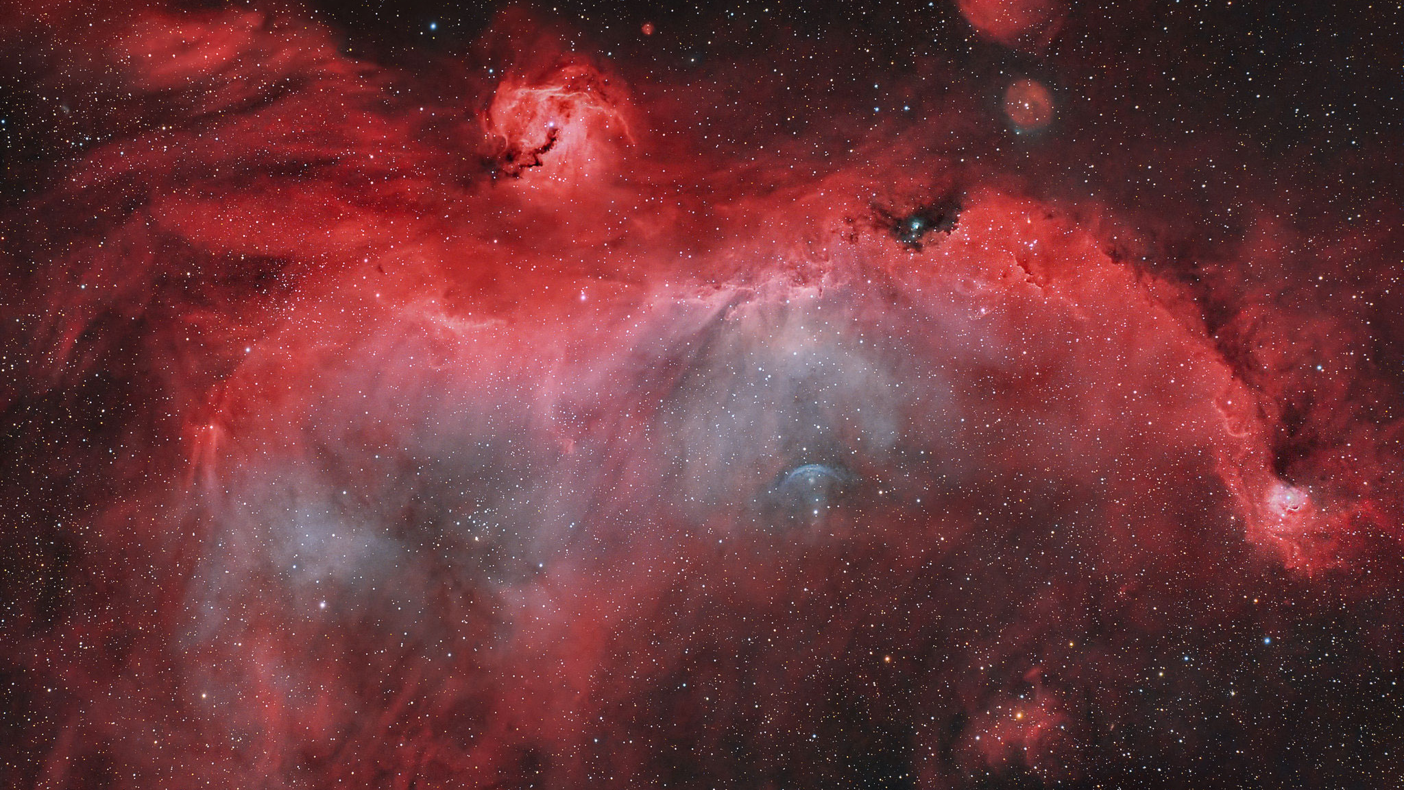 Lo más destacado de la NASA: la colorida Nebulosa de la Gaviota es la foto astronómica del día 5 Lo más destacado de la NASA: la colorida Nebulosa de la Gaviota es la foto astronómica del día