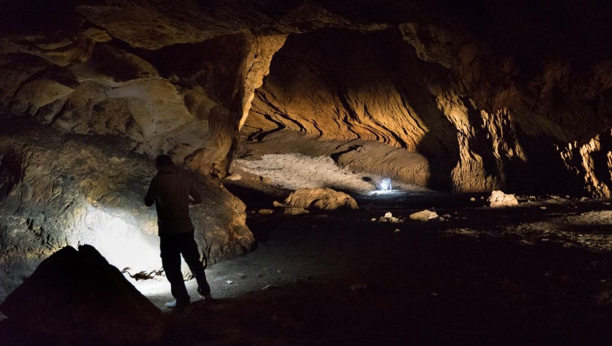 Se ha encontrado la primera patria del Homo Sapiens fuera de África 5 Se ha encontrado la primera patria del Homo Sapiens fuera de África