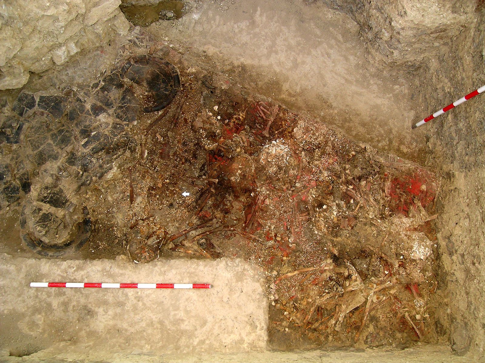 Los antiguos íberos ingirieron polvo rojo cargado de mercurio que alteraba la mente |  Ciencia