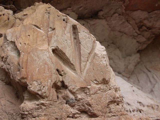 Arqueólogos descubren arte rupestre de 2.000 años de antigüedad en Brasil 8 Arqueólogos descubren arte rupestre de 2.000 años de antigüedad en Brasil