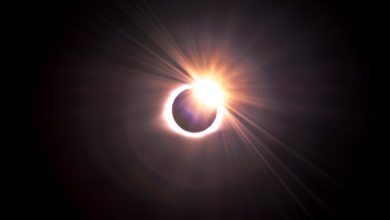 Eclipse solar: mira las mejores fotos del evento astronómico